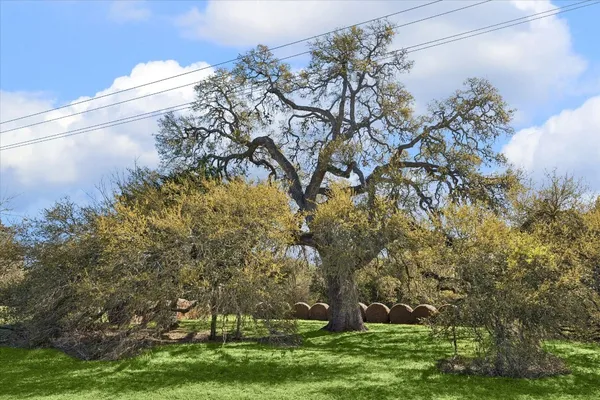 $2,480,000 | 10137 Fm-390, Burton, TX 77835