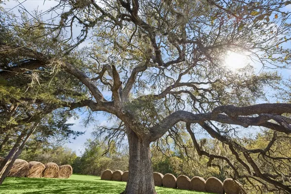 $2,480,000 | 10137 Fm-390, Burton, TX 77835