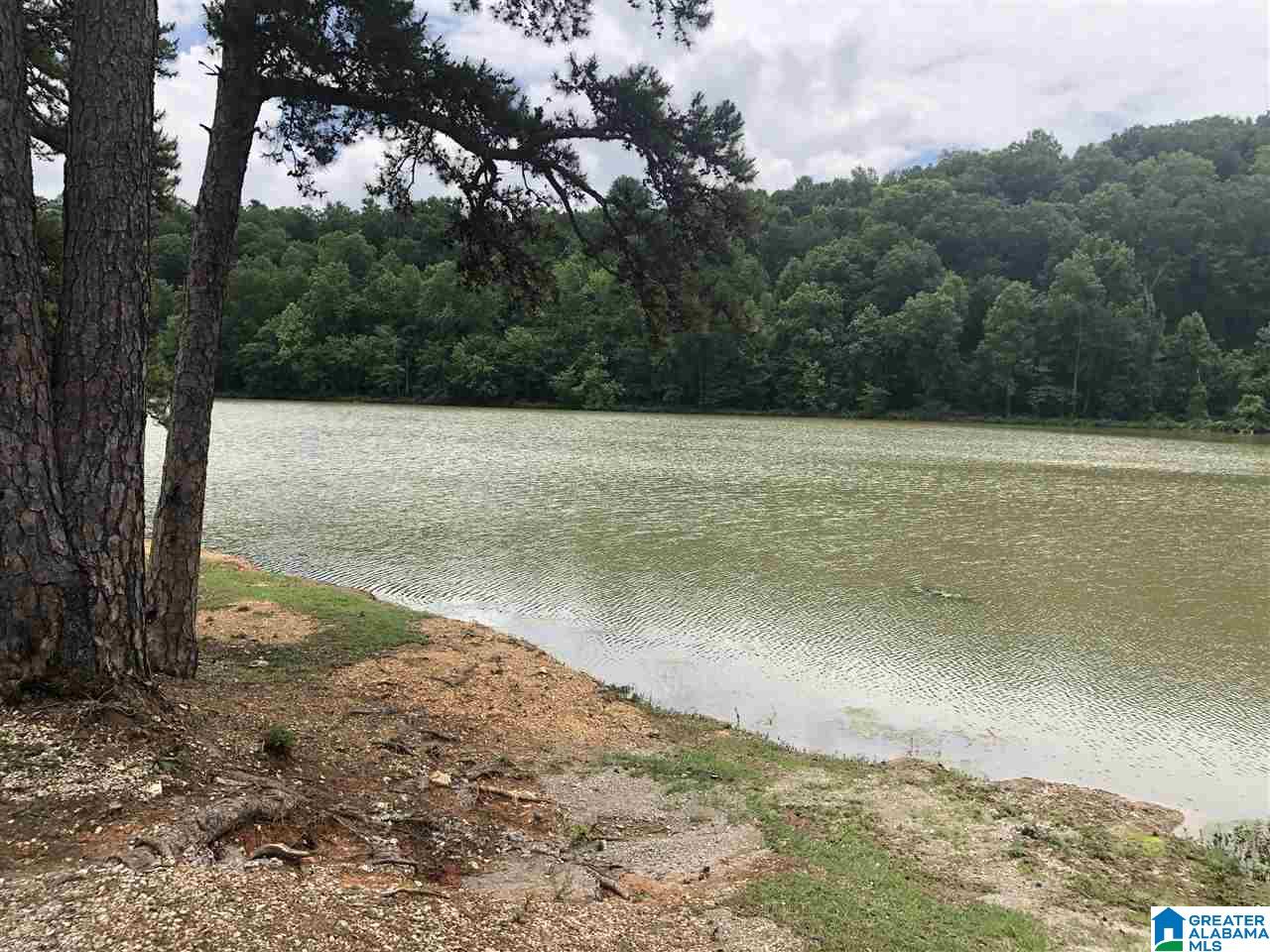 6033 Mockingbird Lane Pinson, AL 35126 - Photo 33 of 34
