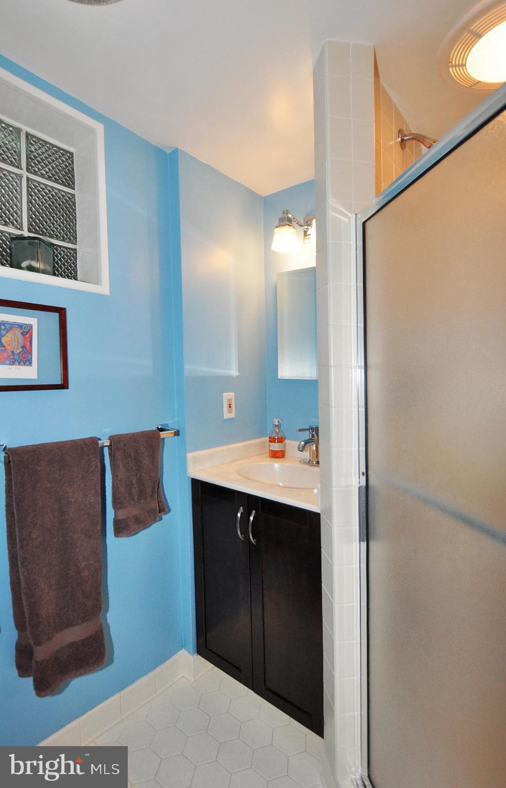 5706 Ogden Road Bethesda, MD 20816 - Photo 34 of 35 Lowest level full bath