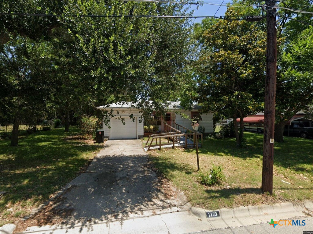 a view of a park with plants and trees