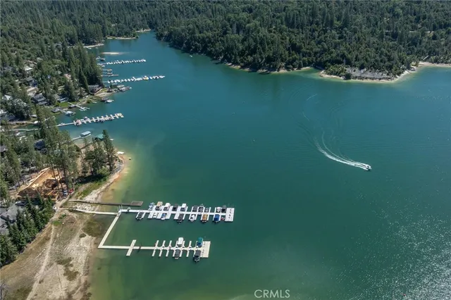 a view of a patio with table and chairs and a large tree