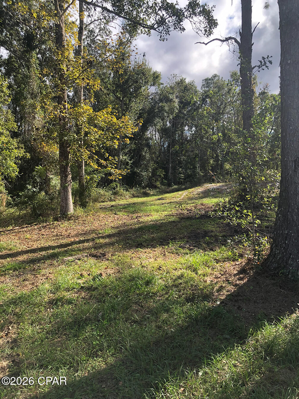 7322 Max Fleming Road Wewahitchka, FL 32465 - Photo 1 of 9