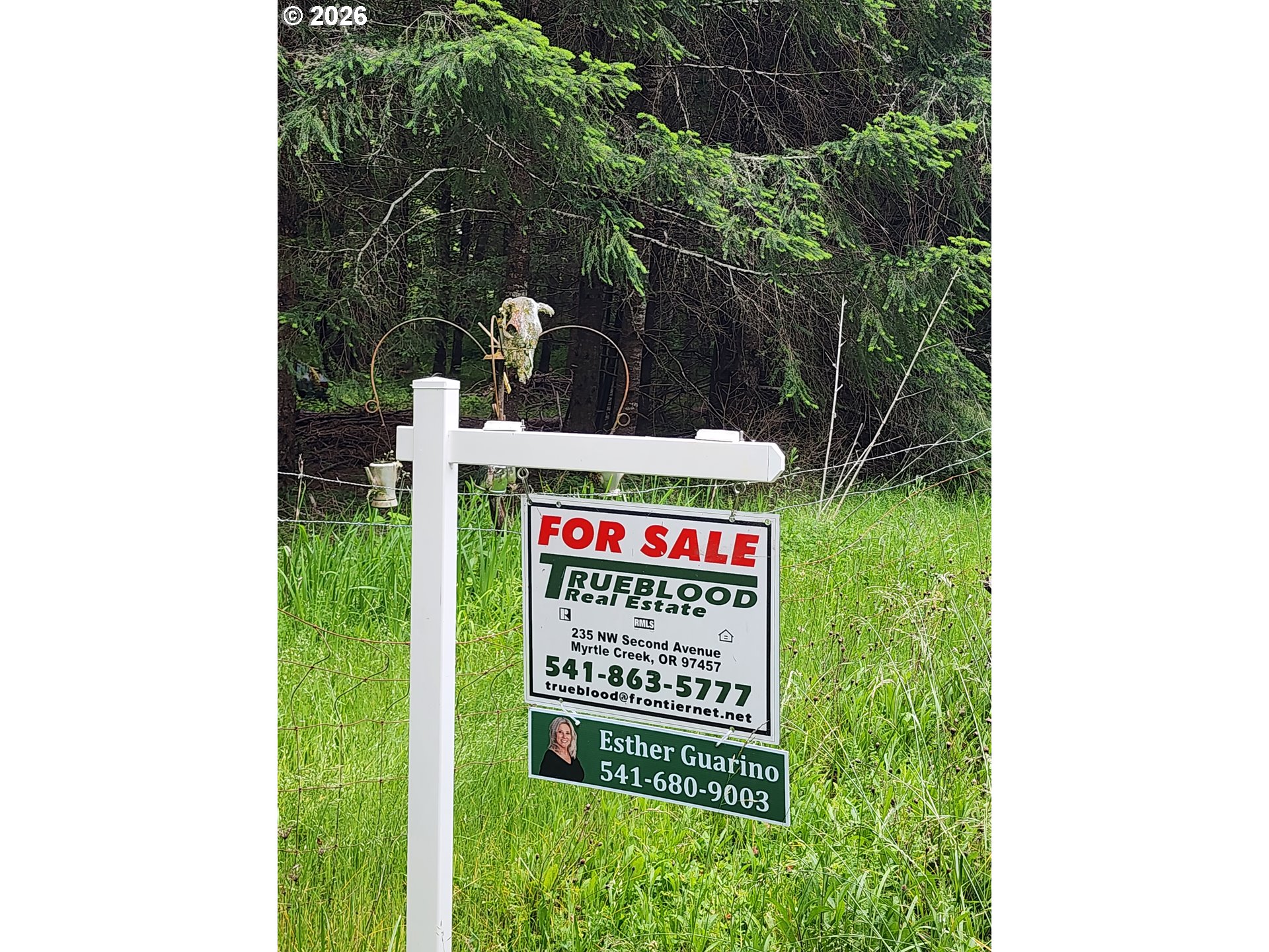 0 Louis Creek Road Myrtle Creek, OR 97457 - Photo 13 of 20