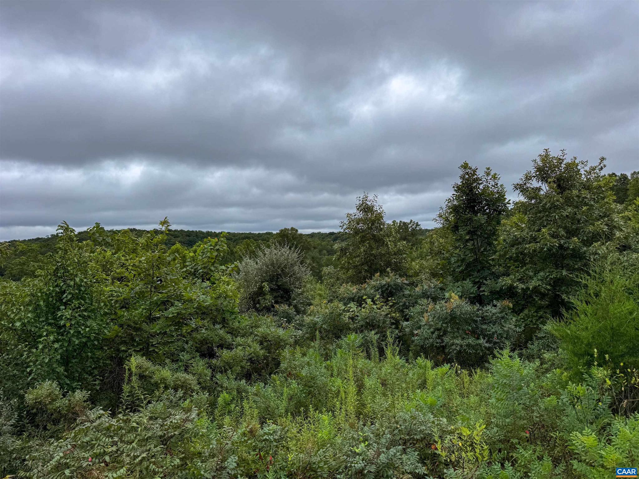 Tba Old Green Mountain Road, Unit 500 Esmont, VA 22937 - Photo 10 of 33