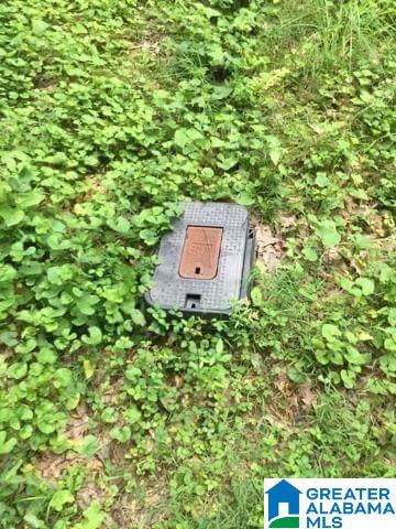 0 Old Road, Unit 4 AND 5 Scottsboro, AL 35769 - Photo 1 of 6