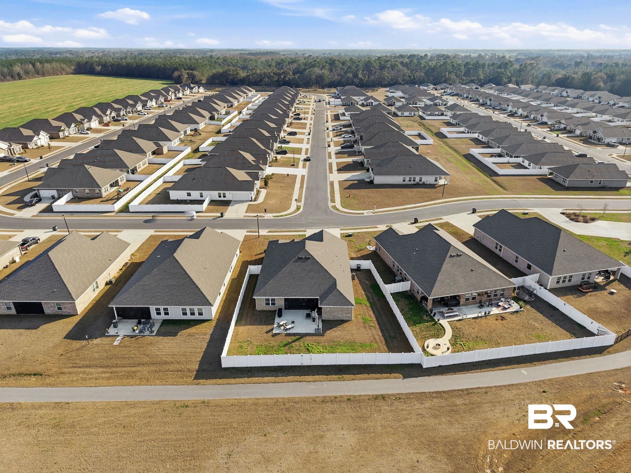 11123 Genuine Risk Circle Daphne, AL 36526 - Photo 59 of 67 Aerial perspective of suburban area
