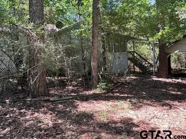 173 Blue Wing Ridge Road Holly Lake Ranch, TX 75765 - Photo 4 of 11 Gallery Image 4