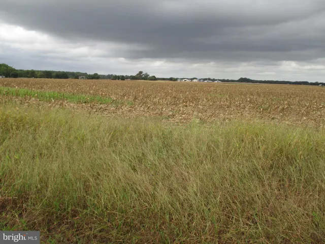 a view of a field with an ocean view