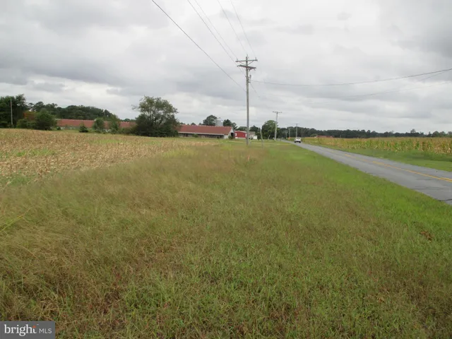 $199,000 | Lot 6 Gray Road, Dagsboro, DE 19939