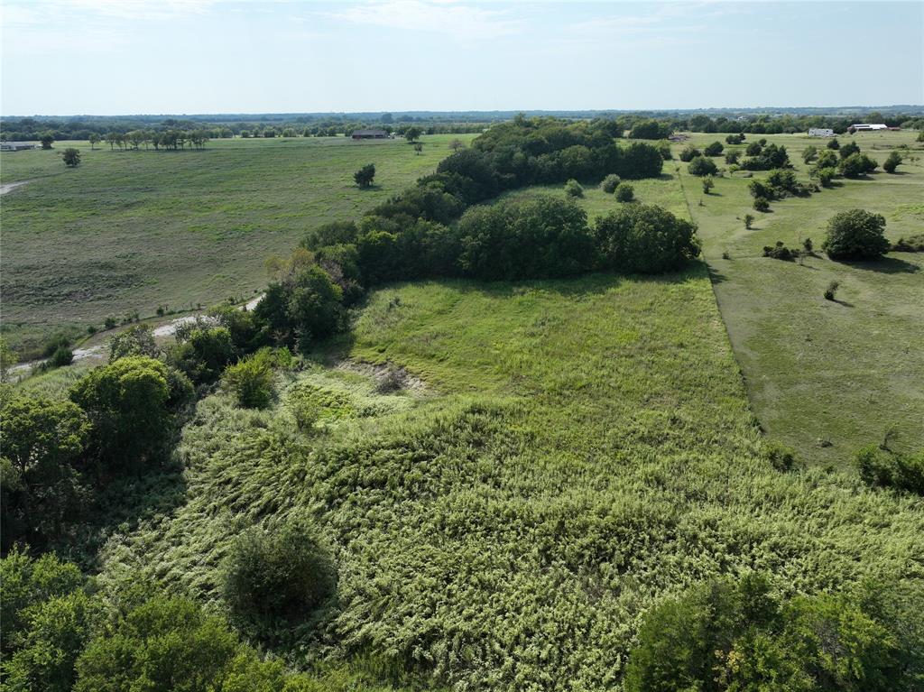 0 Hall Road Sherman, TX 75090 - Photo 4 of 11 a view of a green field with lots of trees