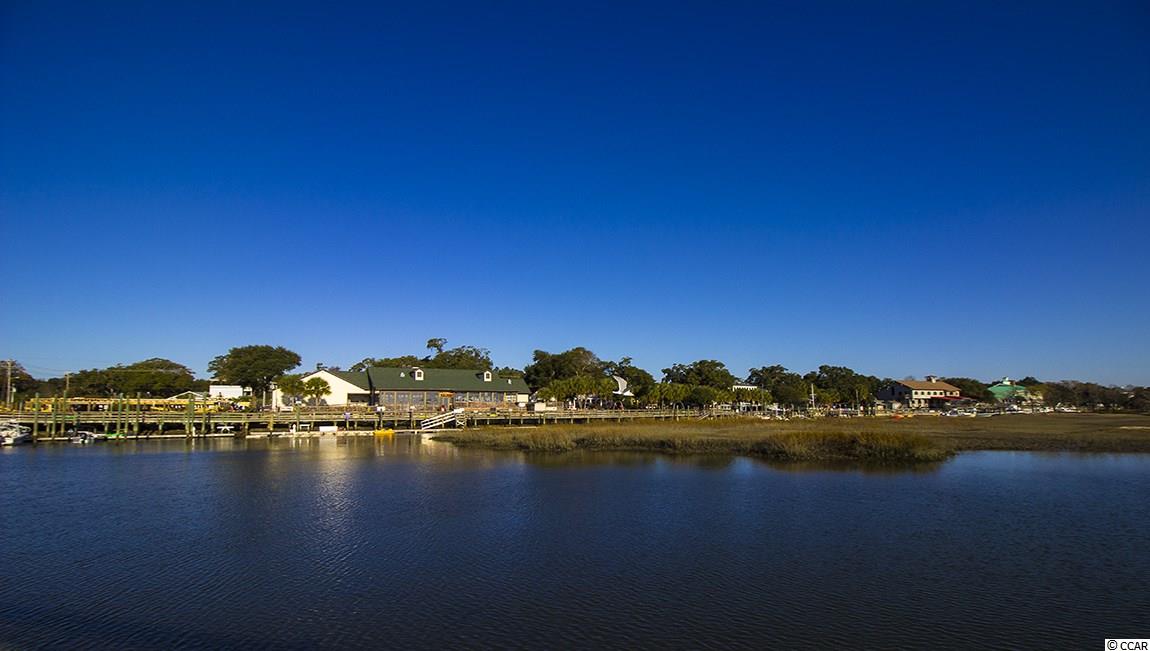 128 Bucky Loop Murrells Inlet, SC 29576 - Photo 30 of 38 Gallery Image 30