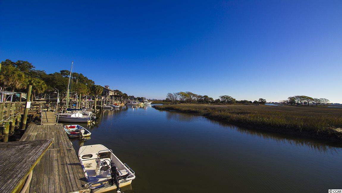 128 Bucky Loop Murrells Inlet, SC 29576 - Photo 31 of 38 Gallery Image 31