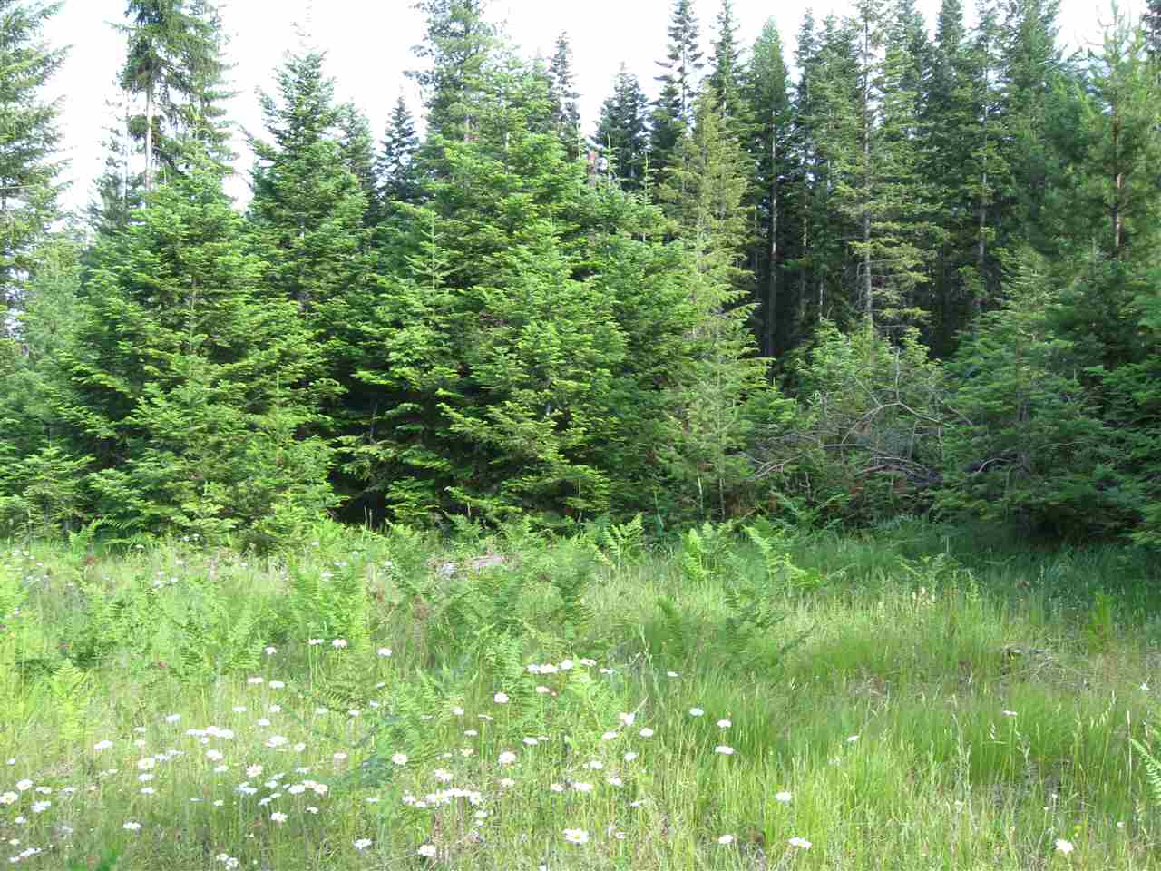 502 Spring Hill Road Newport, WA 99156 - Photo 3 of 9 Gallery Image 3