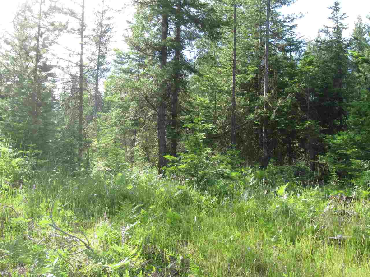 502 Spring Hill Road Newport, WA 99156 - Photo 5 of 9 Gallery Image 5