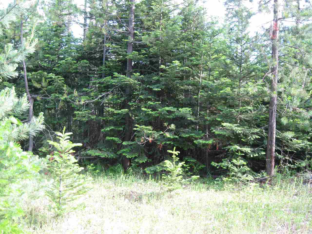 502 Spring Hill Road Newport, WA 99156 - Photo 7 of 9 Gallery Image 7