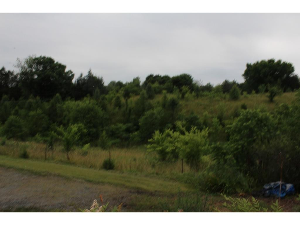 5920 Stardust Road Kingsport, TN 37660 - Photo 8 of 36 Photo 8