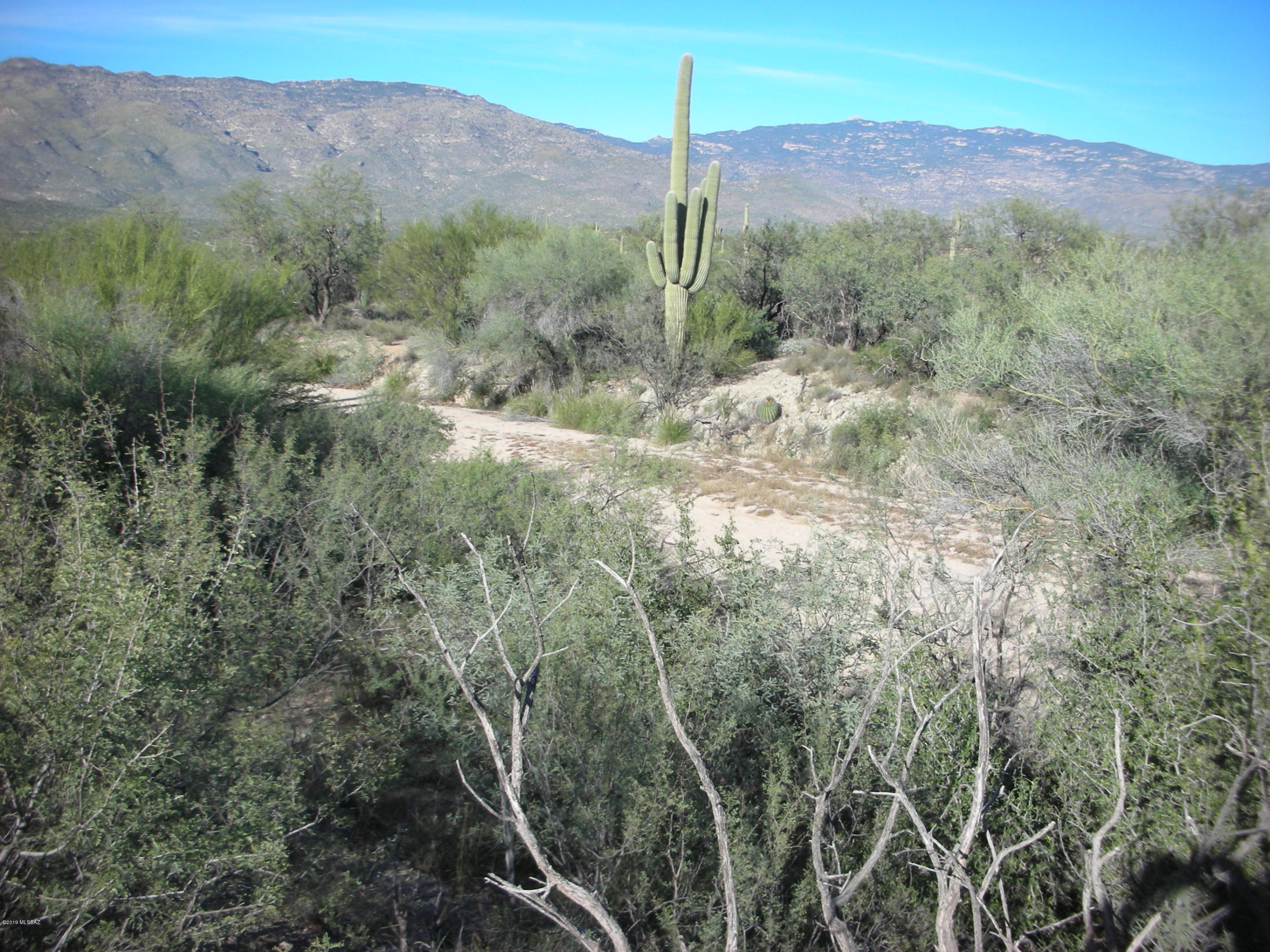 Tbd East Camino Dorotea Road Vail, AZ 85641 - Photo 17 of 24