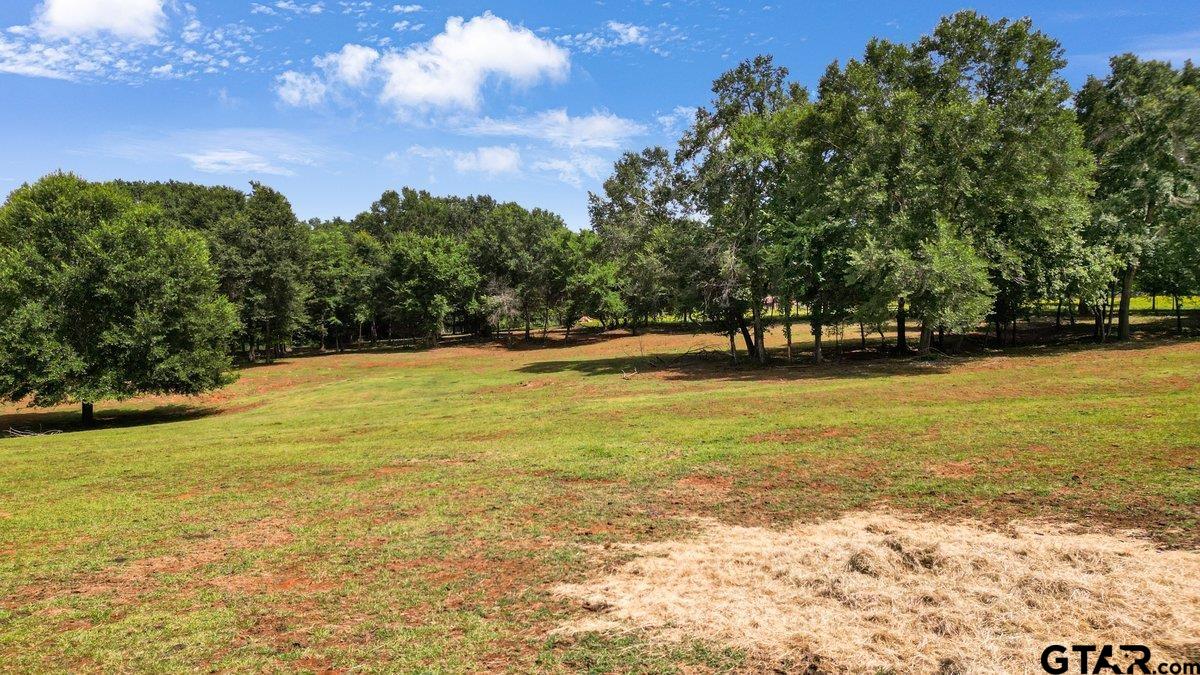 1254 Corinth Road Jacksonville, TX 75766 - Photo 37 of 42 a view of an ocean and beach