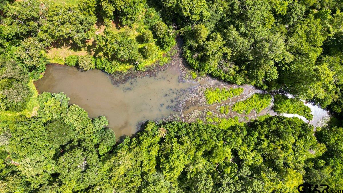 1254 Corinth Road Jacksonville, TX 75766 - Photo 39 of 42