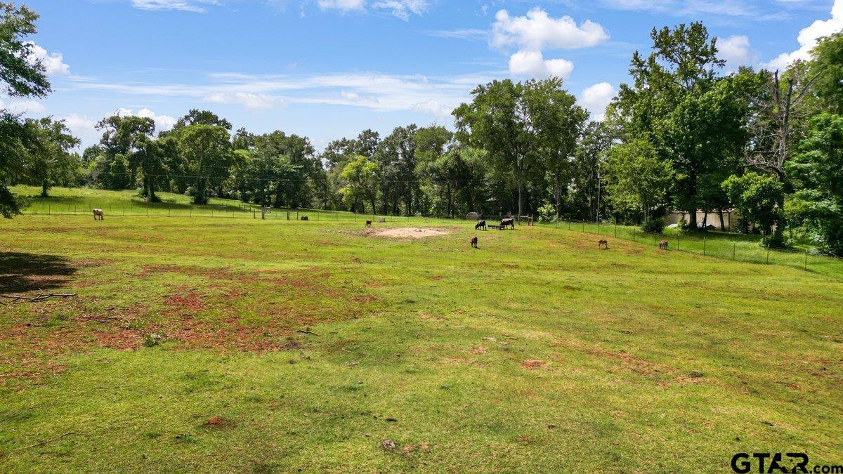 1254 Corinth Road Jacksonville, TX 75766 - Photo 40 of 42 a view of a golf course with a trees