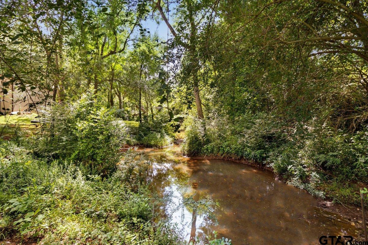 1254 Corinth Road Jacksonville, TX 75766 - Photo 6 of 42 a view of a forest with a tree