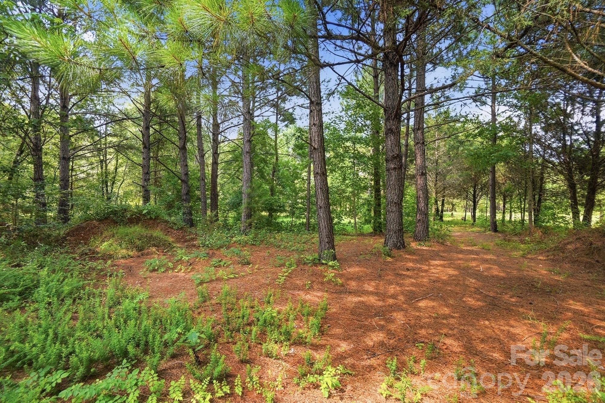 650 State Rd S-46-167 York, SC 29745 - Photo 42 of 44