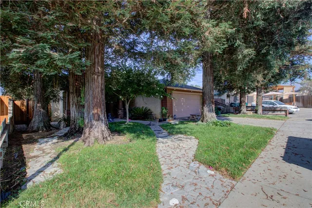 a view of a yard with a tree