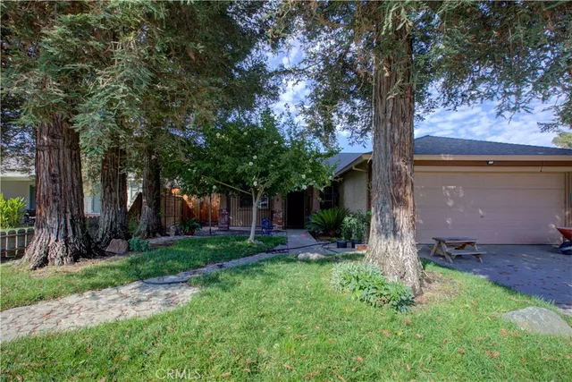 a backyard of a house with plants and large tree