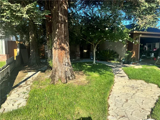a view of a backyard with tree