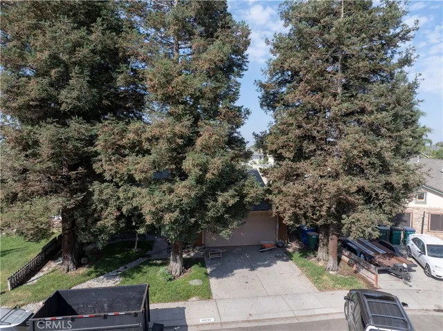 a view of backyard with plants and trees