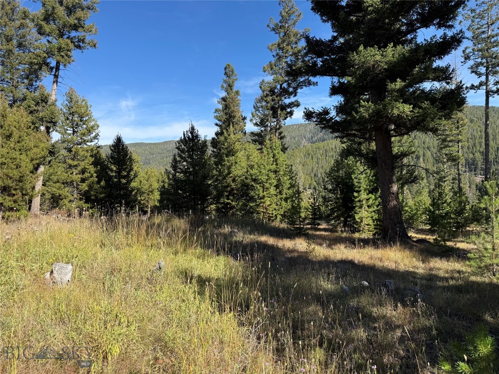 96 Ballpark Road Philipsburg, MT 59858 - Photo 12 of 22 Gallery Image 12