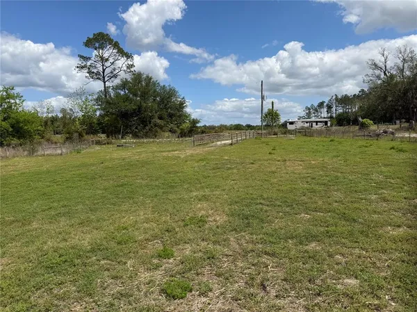 a view of a field with an ocean