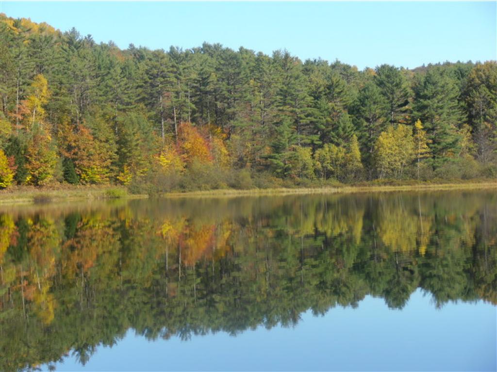 0 Plains Road Lisbon, NH 03585 - Photo 11 of 11