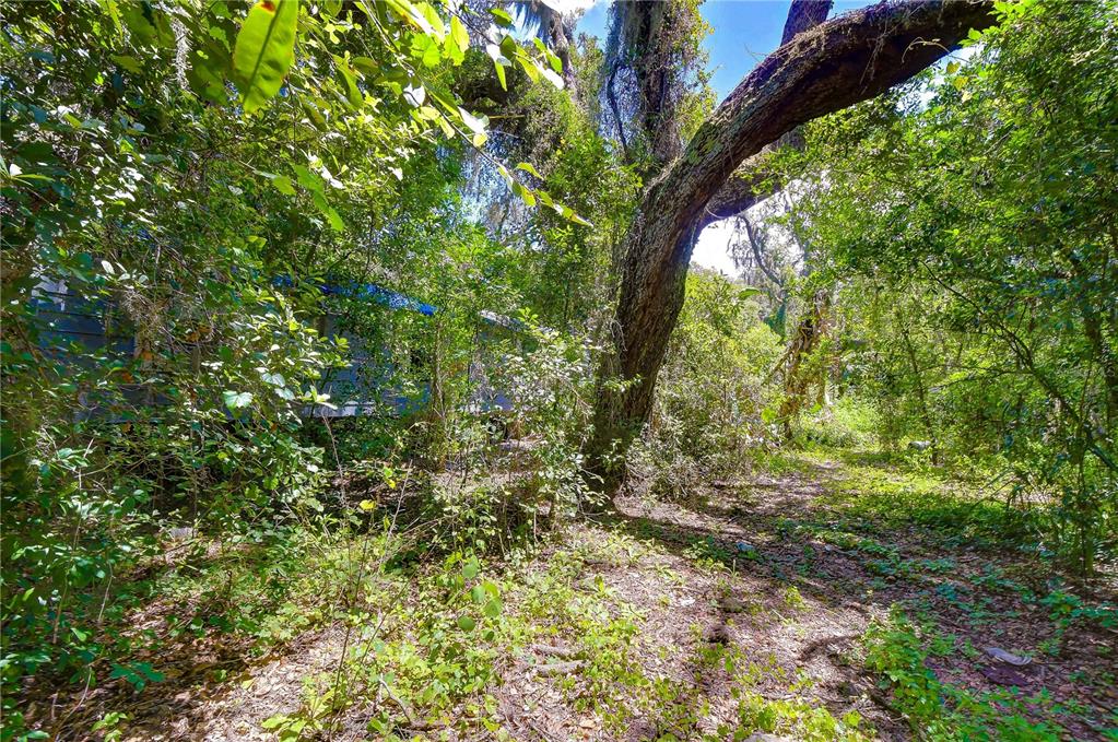 3801 Pate Road Zephyrhills, FL 33541 - Photo 47 of 63 Gallery Image 47