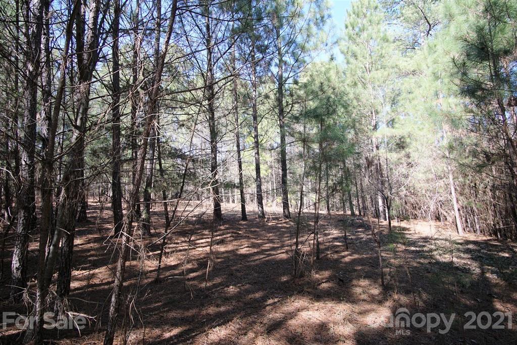 128 Greens Road, Unit 99 Granite Falls, NC 28630 - Photo 1 of 17 Gallery Image 1