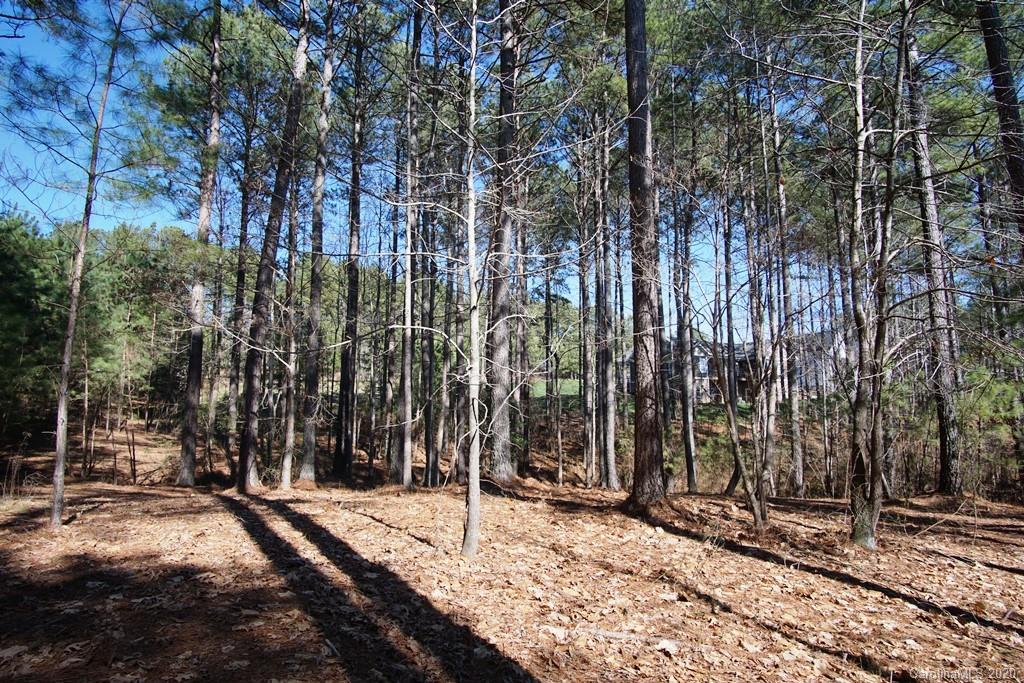 128 Greens Road, Unit 99 Granite Falls, NC 28630 - Photo 11 of 17 Gallery Image 11