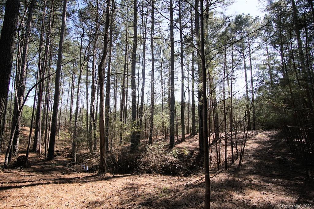 128 Greens Road, Unit 99 Granite Falls, NC 28630 - Photo 12 of 17 Gallery Image 12