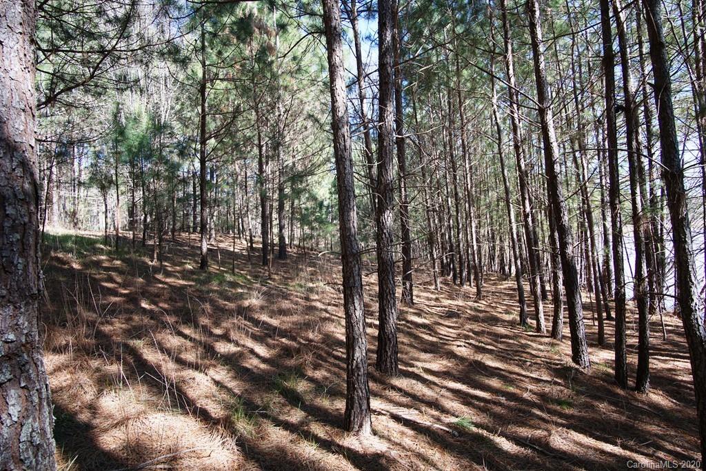 128 Greens Road, Unit 99 Granite Falls, NC 28630 - Photo 4 of 17 Gallery Image 4