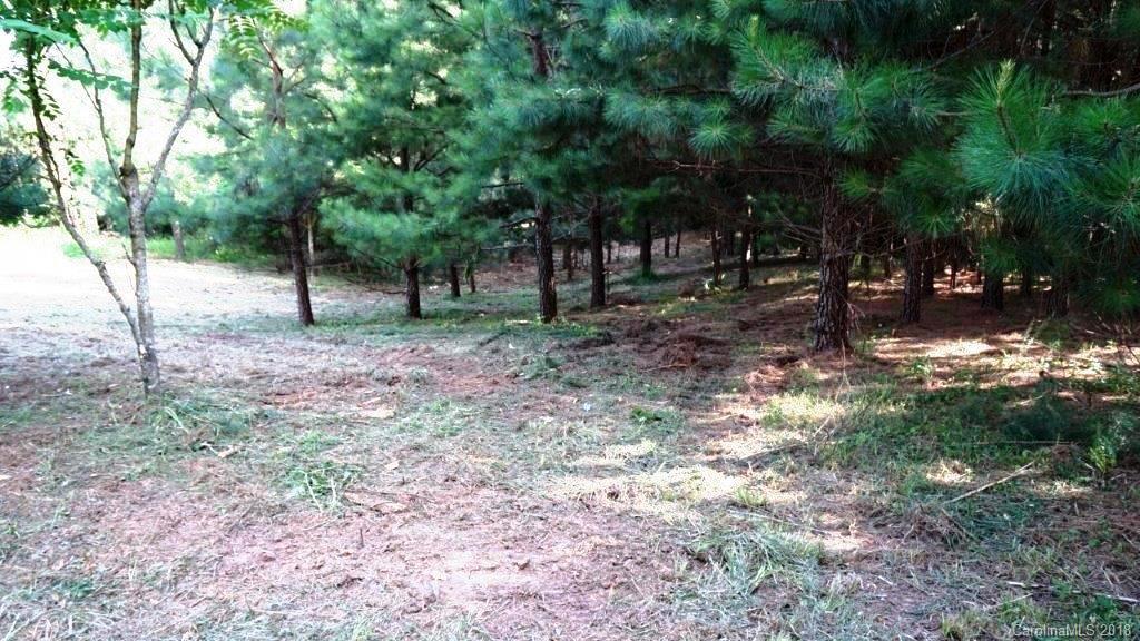 128 Greens Road, Unit 99 Granite Falls, NC 28630 - Photo 6 of 17 Gallery Image 6