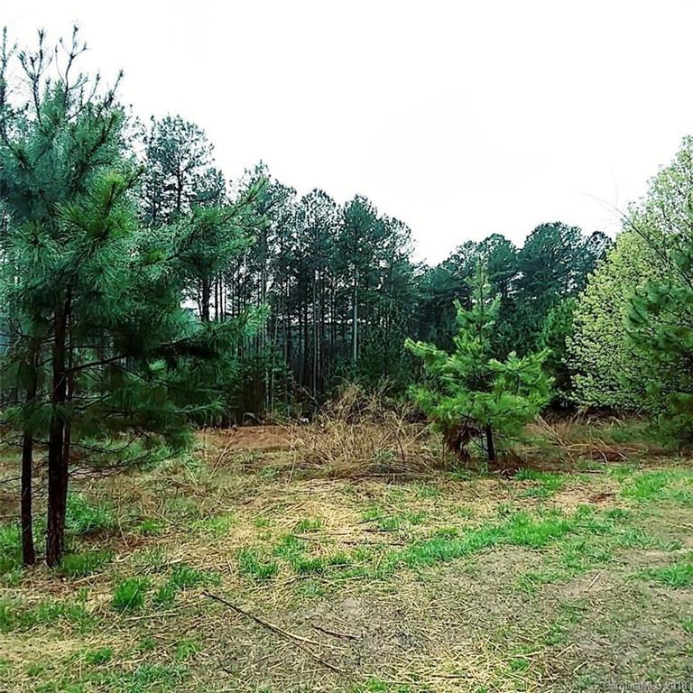 128 Greens Road, Unit 99 Granite Falls, NC 28630 - Photo 9 of 17 Gallery Image 9