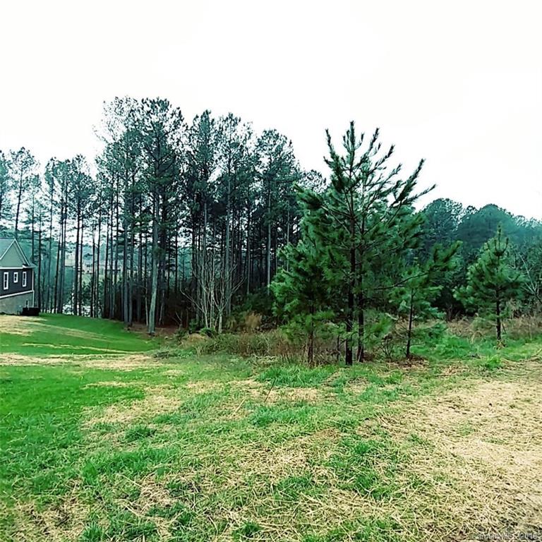 128 Greens Road, Unit 99 Granite Falls, NC 28630 - Photo 10 of 17 Gallery Image 10