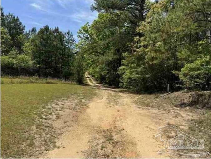0 Horace Odom Road Millry, AL 36558 - Photo 11 of 18