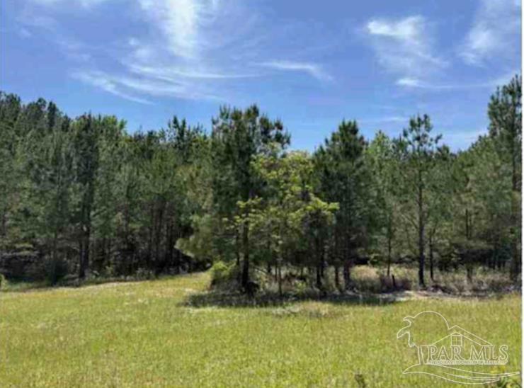 0 Horace Odom Road Millry, AL 36558 - Photo 12 of 18