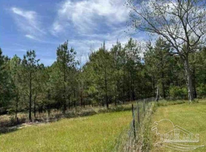 0 Horace Odom Road Millry, AL 36558 - Photo 13 of 18