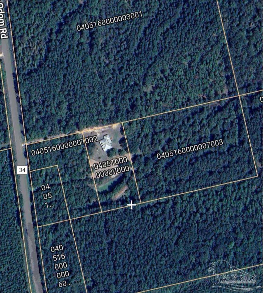 0 Horace Odom Road Millry, AL 36558 - Photo 18 of 18