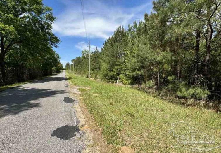 0 Horace Odom Road Millry, AL 36558 - Photo 3 of 18