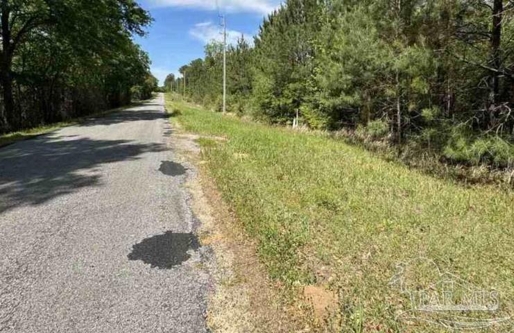0 Horace Odom Road Millry, AL 36558 - Photo 4 of 18