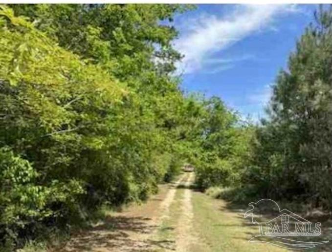 0 Horace Odom Road Millry, AL 36558 - Photo 5 of 18