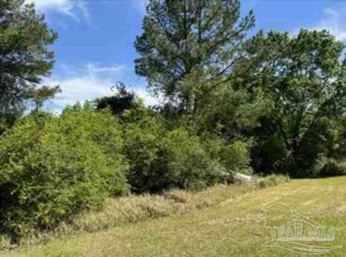 0 Horace Odom Road Millry, AL 36558 - Photo 6 of 18